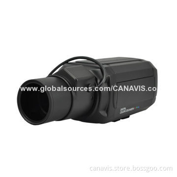 WDR Camera with 650 and 700TVL Horizontal Resolution, Auto-dynamic Noise Reduction